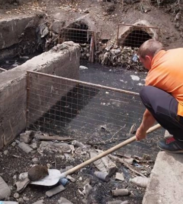 У Миколаєві під час обстеження зелених насаджень врятували їжака