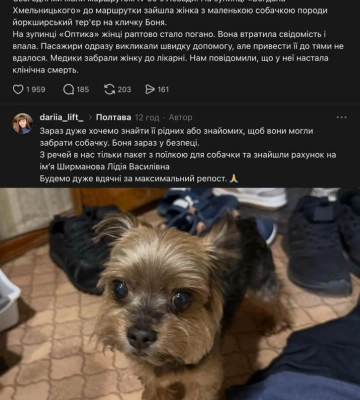 У Полтаві жінка померла після того, як їй стало зле в маршрутці, її собаку вдалося знайти родичам через соцмережі.