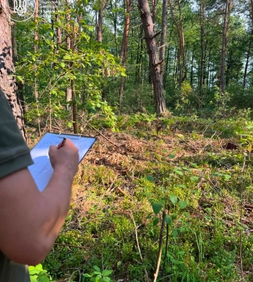 На Волині викрили масштабну незаконну вирубку лісу на понад 5,2 млн гривень