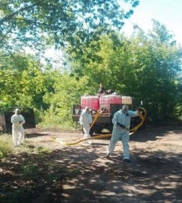 На Полтавщині ліквідували стихійне звалище решток тварин