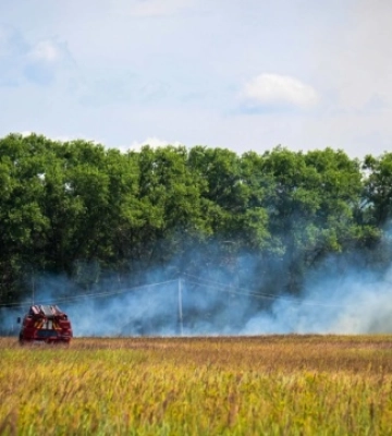 У Чорнобильській зоні ліквідували лісову пожежу