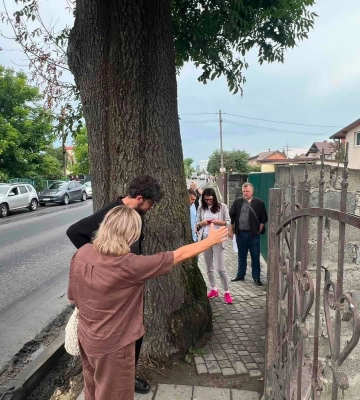 Посеред тротуару у Львові вирішили залишити дерево. ШІ засумнівався у фаховості виконавців