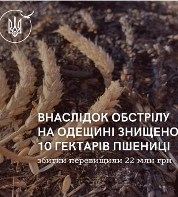 Ворожий обстріл завдав довкіллю Одещини збитків на 22 мільйони гривень