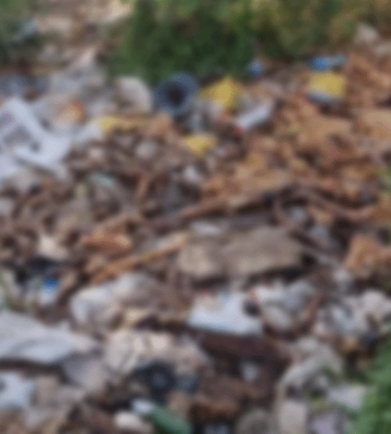 На околицях Первомайська виявили стихійне звалище з тваринними рештками