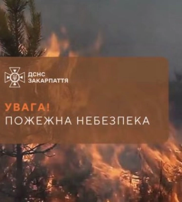 Закарпаття на межі пожежної небезпеки: рятувальники попередили про критичну ситуацію вже найближчими днями