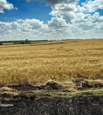 Російські дрони знову б’ють по полях на Харківщині 