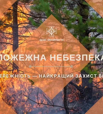 Закарпаття на межі пожежної небезпеки: рятувальники попередили про критичну ситуацію вже найближчими днями