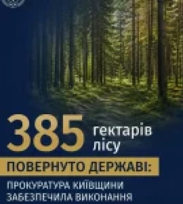 Прокуратура повернула державі 385 га лісових земель на Київщині