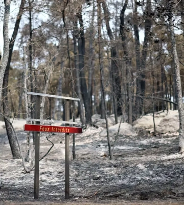 У Франції волонтера-пожежника підозрюють в підпалі історичного лісу Фонтенбло