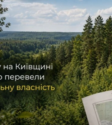 385 га леса в Киевской области незаконно перевели в коммунальную собственность