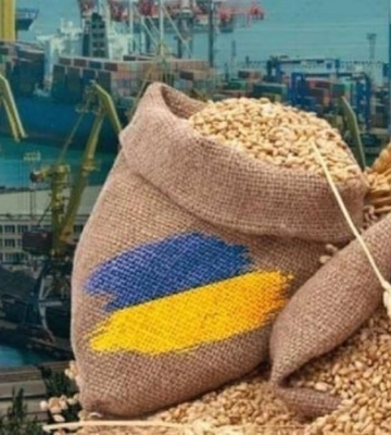 Зерновий експорт під загрозою: судновласники масово відмовляються від українських портів