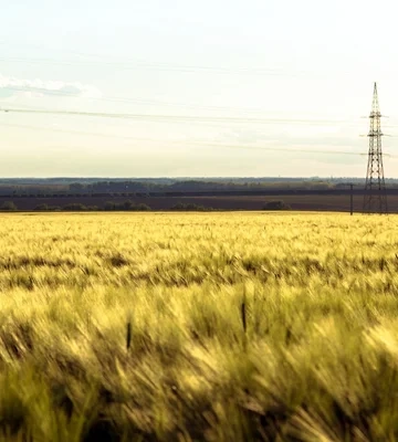 Без електроенергії залишилися споживачі п’яти областей: де немає світла