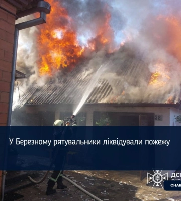 У Березному рятувальники ліквідували пожежу