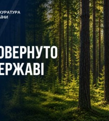 Прокуратура через суд повернула державі 385 га лісових земель на Київщині