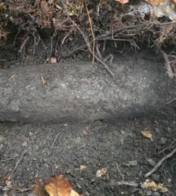 В Польше в лесу обнаружили артиллерийские снаряды времен Второй мировой войны