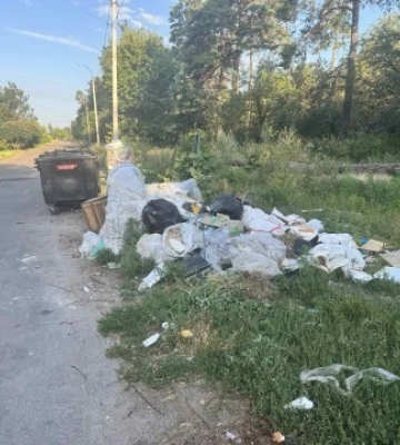 Гризуни, безпритульні тварини та різкий запах: у Черкасах мешканці скаржаться на стихійне сміттєзвалище