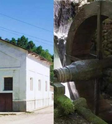 В Одесской области сохранилась столетняя мельница, построенная еще во времена графов: где ее можно увидеть