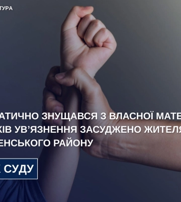 На Житомирщині засуджено домашнього насильника, який знущався з власної матері: