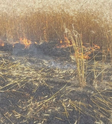 Палали будинки й поля: куди попадали російські дрони на Дніпропетровщині