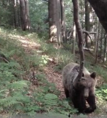 Приховані камери на кордоні зняли те, що зазвичай залишається в абсолютній таємниці 