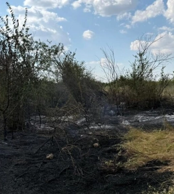 У Білгород-Дністровському районі горіння сміттєзвалища спричинило пожежу на залісненій території та полях