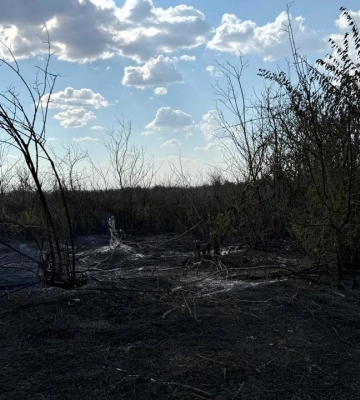 У Білгород-Дністровському районі горіння сміттєзвалища спричинило пожежу на залісненій території та полях