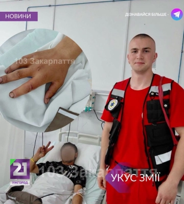 На Закарпатті 19-річного хлопця під час збору яфин вкусила змія: що відомо про його стан
