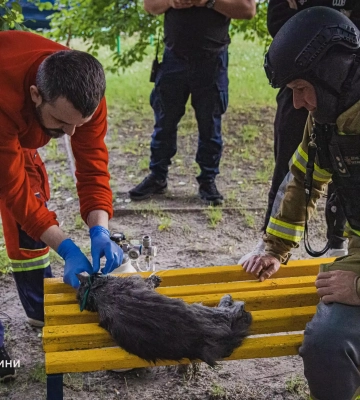 У Харкові внаслідок пожежі постраждали троє людей та був героїчно врятований кіт. ФОТО