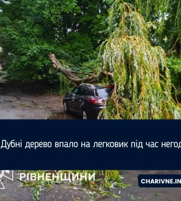 У Дубні дерево впало на легковик під час негоди