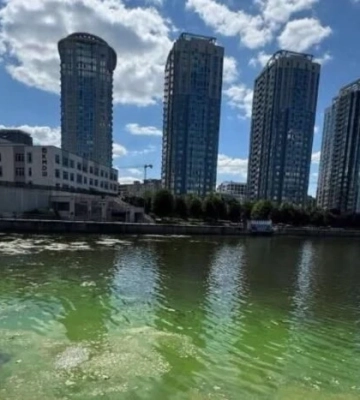 У Києві на Дніпровській набережній зацвіла вода: місцеві скаржаться на сморід (відео)