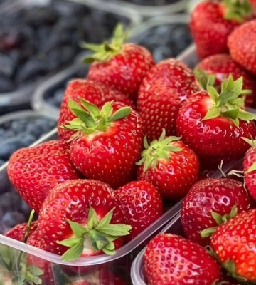 Де у Києві проходитимуть продуктові ярмарки 21-26 липня (адреси)