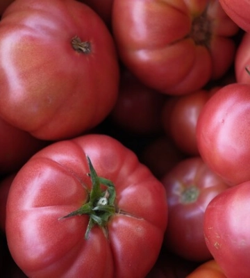 Де на цьому тижні у Києві пройдуть продуктові ярмарки. Адреси