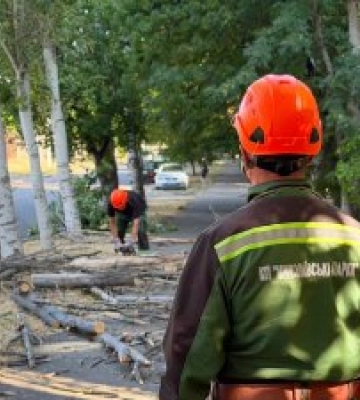 Завтра у Миколаєві прибиратимуть аварійні дерева