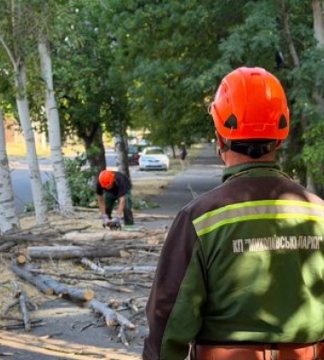 Миколаївські комунальники прибиратимуть аварійні дерева