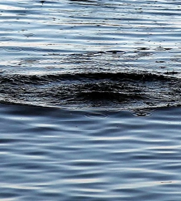 В Харьковской области трое детей упали в воду, утонула 11-летняя девочка