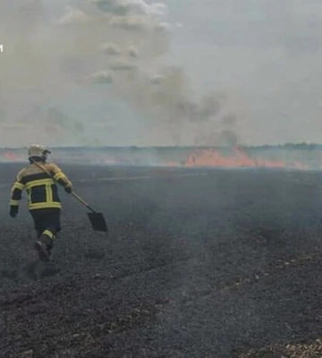 На Броварщині горіло пшеничне поле: рятувальники гасили вогонь майже годину