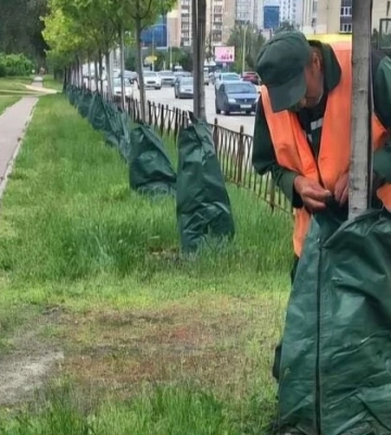 У Києві для поливу дерев встановлено понад 6 тис. спеціальних мішків: як це працює