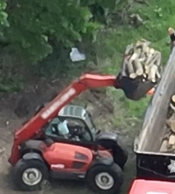 На Полтавщині викрили масштабну схему незаконної лісозаготівлі