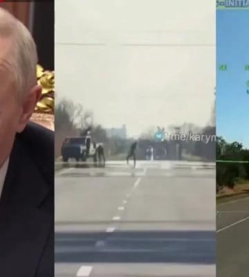 "Под контролем только статистика ежедневных вйо на трассе в Крым", - Мадяр показал, как Балицкий надул Путина. ВИДЕО