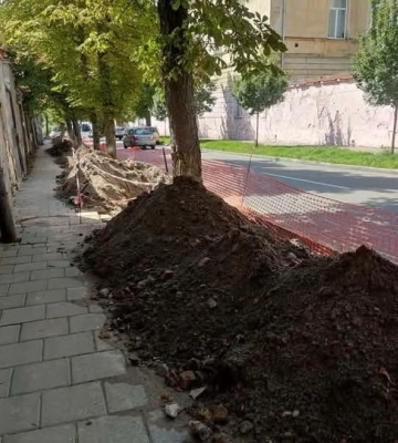 Оштрафують підрядника у Львові, який пошкодив коріння дерев під час ремонтних робіт
