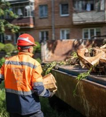 У Полтаві видалять майже 200 аварійних дерев