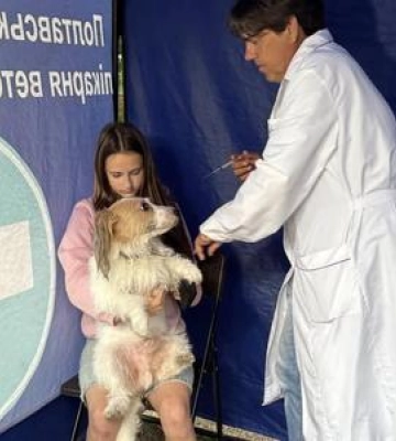 23 липня в Полтаві відбудеться безкоштовна вакцинація собак і котів проти сказу Куди йти
