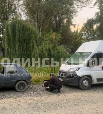 У Луцьку вночі молодик пошкодив кілька припаркованих авто