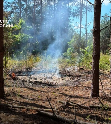 Власниця ділянки палила суху траву: на Ковельщині ліквідували пожежу