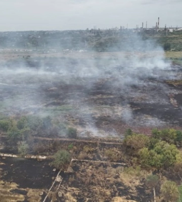 Під Одесою тліють 8 га очерету й трави