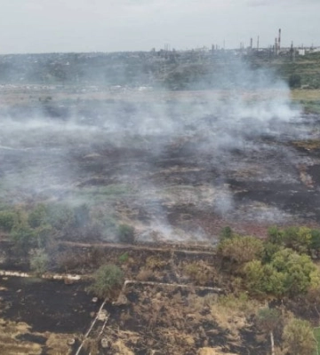На Одещині ліквідовують наслідки займання сухостою та очерету площею 8 гектарів