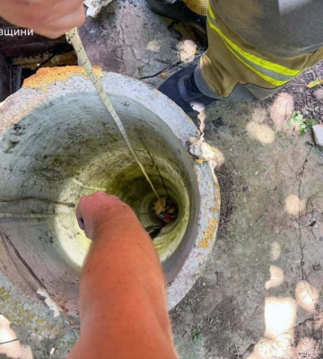 У Валках чотирирічний хлопчик провалився у колодязь