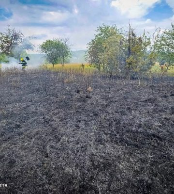 На Закарпатті від початку року ліквідовано вже 1293 пожежі в екосистемах