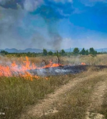 На Закарпатті рятувальники за 12 хвилин ліквідували пожежу в дровітні