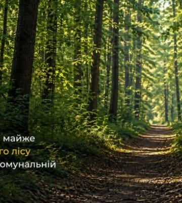 В Харьковской области 5 га государственного леса оказались в коммунальной собственности